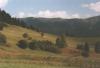 nizketatry109